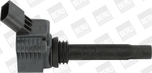 BorgWarner (BERU) ZSE067 - Bobina de inductie parts5.com