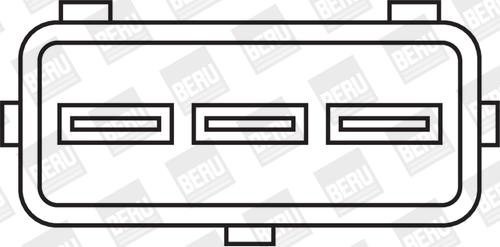 BorgWarner (BERU) ZSE006 - Bobina de inductie parts5.com