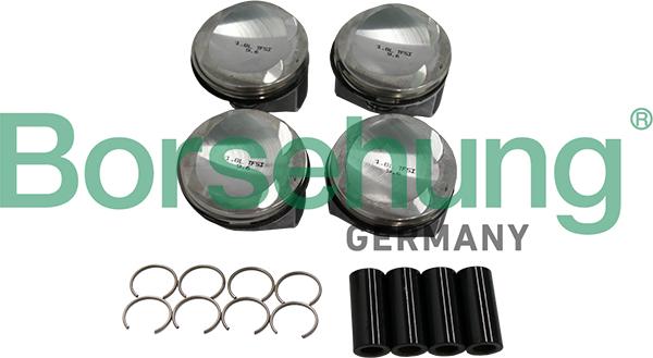 Borsehung B19151 - Segman seti parts5.com