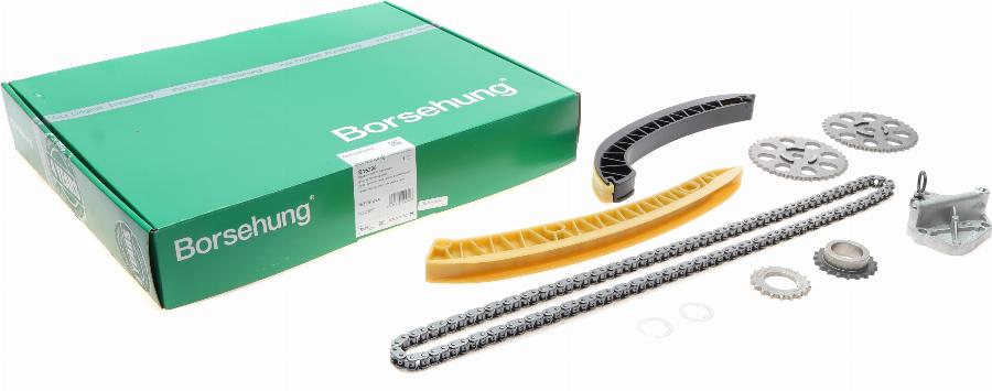 Borsehung B16295 - Juego de cadena de distribución parts5.com