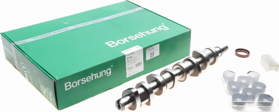 Borsehung B18664 - Eksantrik mili seti parts5.com