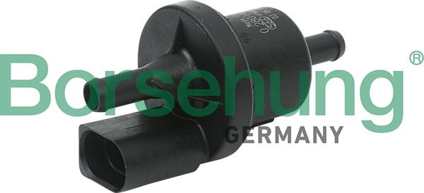 Borsehung B13667 - Valve, activated carbon filter parts5.com