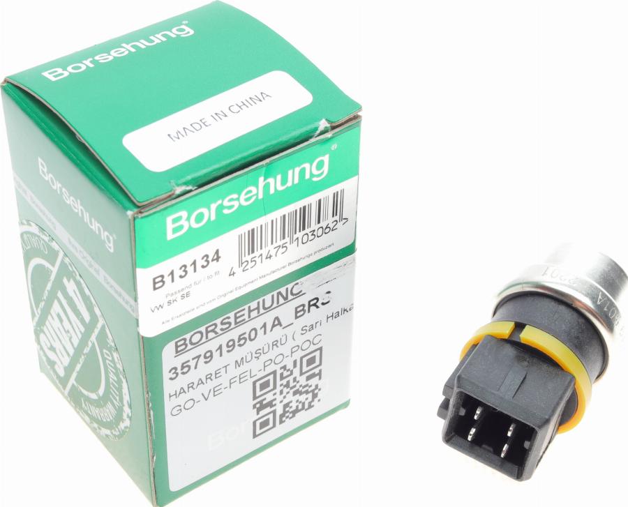 Borsehung B13134 - Czujnik, temperatura płynu chłodzącego parts5.com