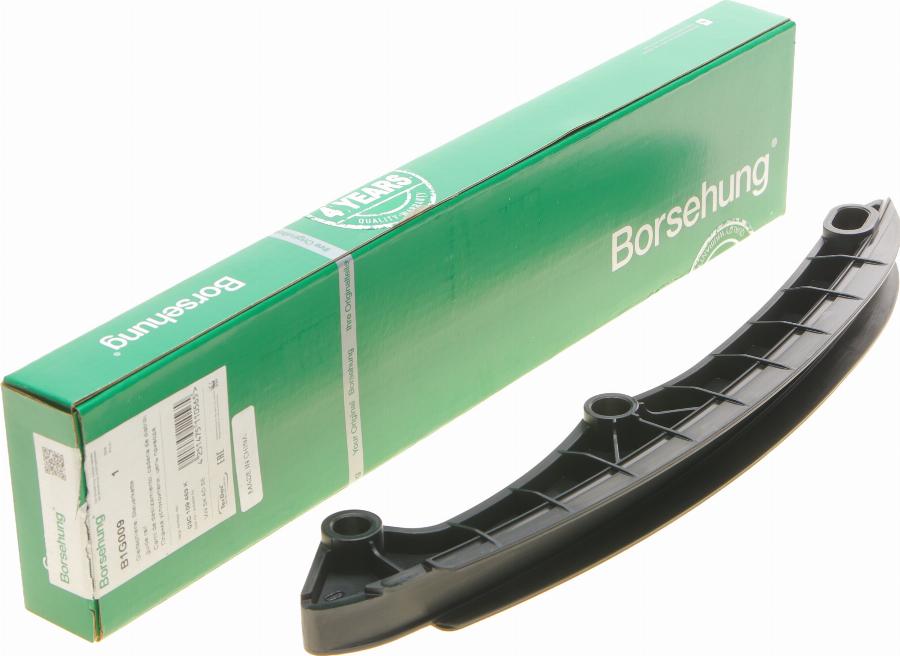 Borsehung B1G009 - Klizna vodilica, pogonski lanac parts5.com