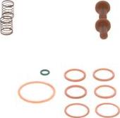 BOSCH 2 447 010 004 - Set reparatie, pompa combustibil parts5.com