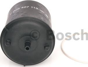 BOSCH F 026 407 119 - Oil Filter parts5.com