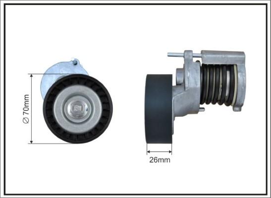 Caffaro 100100SP - Belt Tensioner, v-ribbed belt parts5.com