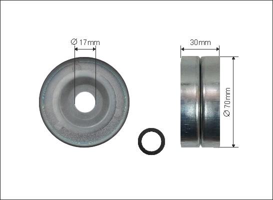 Caffaro 316-00 - Skretni / vodeći valjak, klinasti rebrasti remen parts5.com