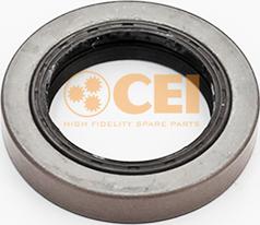 C.E.I. 139809 - Семеринг, диференциал parts5.com