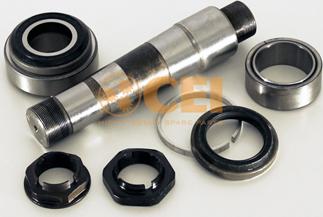 C.E.I. 230.076 - Repair Kit, kingpin parts5.com