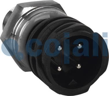 Cojali 2260262 - Senzor, pritisk olja parts5.com