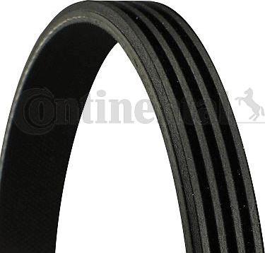 Continental CTAM 4PK860 - V-Ribbed Belt parts5.com