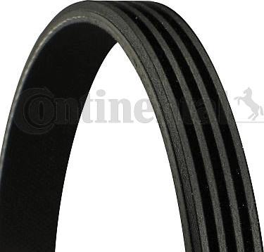 Continental CTAM 4 PK 815 - V-Ribbed Belt parts5.com