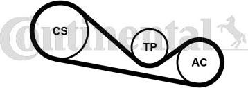 Continental CTAM 4PK1237K1 - Moniurahihnasarja parts5.com