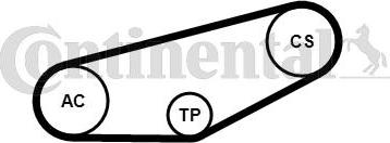 Continental CTAM 4PK855K1 - Σετ ιμάντων poly-V parts5.com