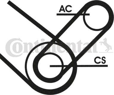 Continental CTAM 4PK874ELASTT1 - Set curea transmisie cu caneluri parts5.com