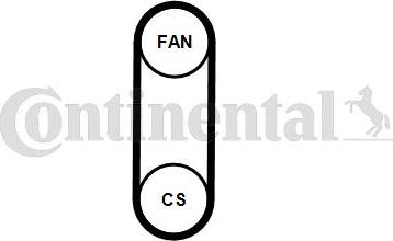 Continental CTAM 4PK711ELASTT1 - Set curea transmisie cu caneluri parts5.com