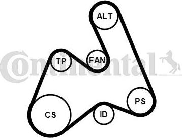 Continental CTAM 5PK1592K1 - Zestaw paska klinowego wielorowkowego parts5.com