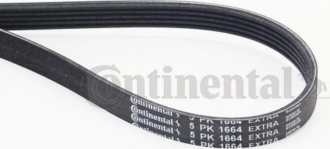 Continental CTAM 5PK1664 EXTRA - Curea transmisie cu caneluri parts5.com