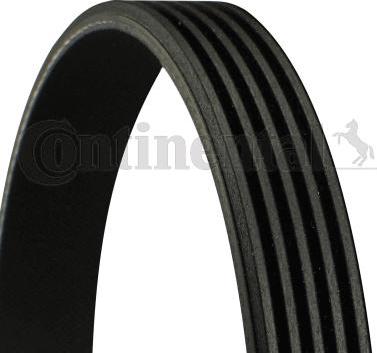 Continental CTAM 5PK1025 - Ιμάντας poly-V parts5.com