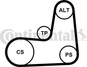 Continental CTAM 5 PK 1135 K2 - Komplet rebrastega jermena parts5.com