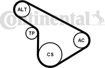 Continental CTAM 5PK1212K1 - Set curea transmisie cu caneluri parts5.com