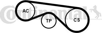 Continental CTAM 5PK890K3 - Set curea transmisie cu caneluri parts5.com