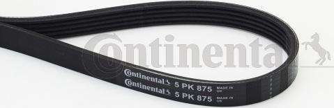 Continental CTAM 5PK875 - Curea transmisie cu caneluri parts5.com