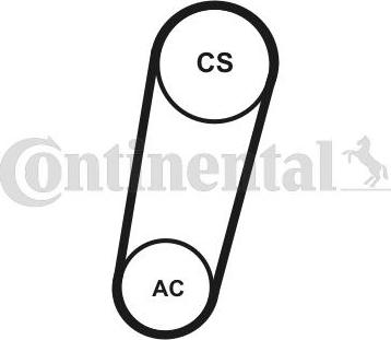 Continental CTAM 5PK705ELASTT1 - Set curea transmisie cu caneluri parts5.com