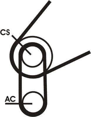 Continental CTAM 5PK716ELASTT1 - Set curea transmisie cu caneluri parts5.com