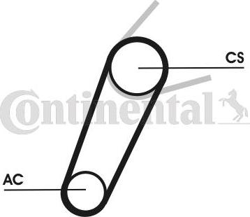 Continental CTAM 5PK711ELASTT1 - Set curea transmisie cu caneluri parts5.com