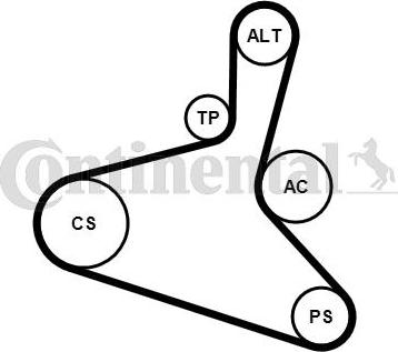 Continental CTAM 6DPK1195K2 - Set curea transmisie cu caneluri parts5.com