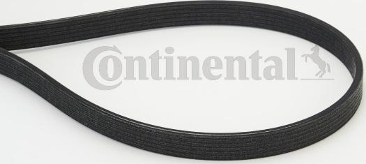 Continental CTAM 6 DPK 1817 - Kanallı V kayışı parts5.com