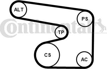 Continental CTAM 6PK1900K1 - Set curea transmisie cu caneluri parts5.com