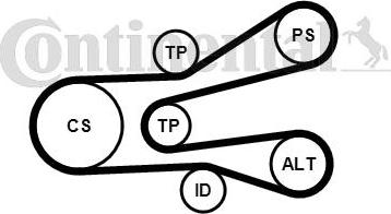 Continental CTAM 6PK1440K1 - V-Ribbed Belt Set parts5.com