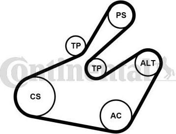 Continental CTAM 6PK1468K1 - Garnitura klinastog rebrastog kaiša parts5.com