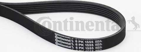 Continental CTAM 6 PK 1555 - Ozubený klínový řemen parts5.com