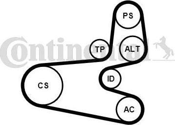 Continental CTAM 6PK1560K1 - V-Ribbed Belt Set parts5.com