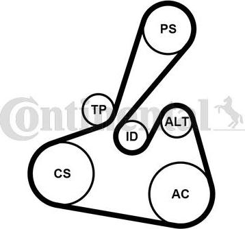 Continental CTAM 6 PK 1502 EXTRA K1 - Set curea transmisie cu caneluri parts5.com