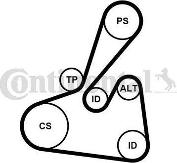 Continental CTAM 6PK1502 EXTRA K2 - Set curea transmisie cu caneluri parts5.com