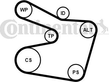 Continental CTAM 6PK1538K2 - Zestaw paska klinowego wielorowkowego parts5.com