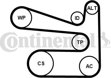 Continental CTAM 6PK1693K1 - V-Ribbed Belt Set parts5.com