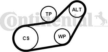 Continental CTAM 6PK1045K1 - V-Ribbed Belt Set parts5.com