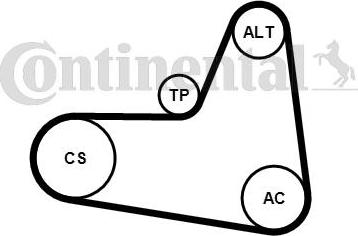 Continental CTAM 6 PK 1045 K2 - Zestaw paska klinowego wielorowkowego parts5.com