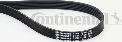 Continental CTAM 6PK1050 - Correa trapecial poli V parts5.com