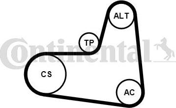 Continental CTAM 6 PK 1005 K1 - Komplet klinastog rebrastog remena parts5.com