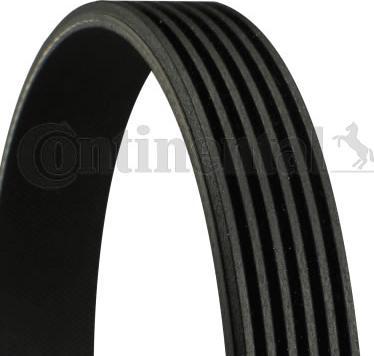 Continental CTAM 6PK1045 - V-Ribbed Belt parts5.com