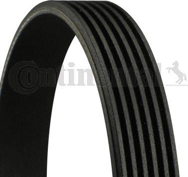 Continental CTAM 6PK1750 - Rebrasti jermen parts5.com