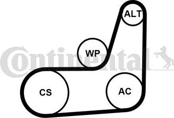 Continental CTAM 6PK1019 ELAST T2 - Komplet klinastog rebrastog remena parts5.com