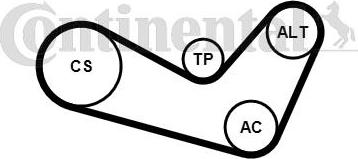 Continental CTAM 6 PK 1080 K1 - Σετ ιμάντων poly-V parts5.com